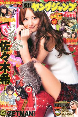 新版金瓶梅